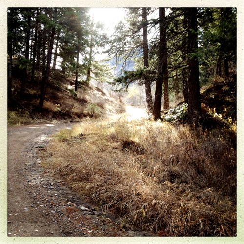 country road country road