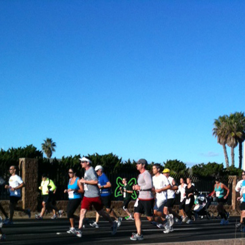 Olivia runs in San Diego half marathon in San Diego November 13, 2011